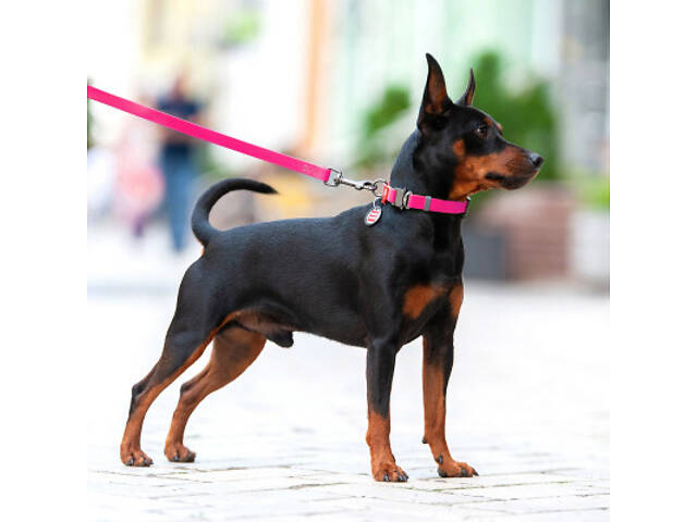 Нашийник для тварин WAUDOG Waterproof з QR паспортом XXL Ш 40 мм Д 43-70 см (рожевий) (28017) - Фото 6