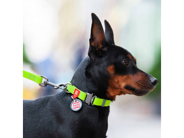 Нашийник для тварин WAUDOG Waterproof з QR паспортом XL Ш 25 мм Д 35-58 см (салатовий) (27845) - Фото 5