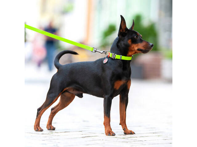 Нашийник для тварин WAUDOG Waterproof з QR паспортом XL Ш 25 мм Д 35-58 см (салатовий) (27845) - Фото 6