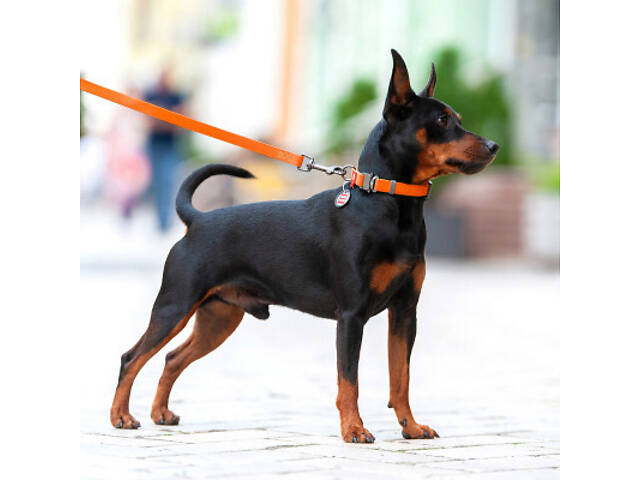 Нашийник для тварин WAUDOG Waterproof з QR паспортом M Ш 20 мм Д 24-40 см (помаранчевий) (27934) - Фото 6