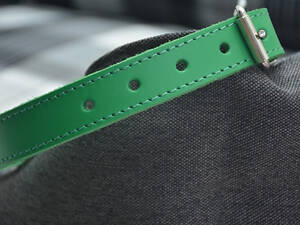 Ошейник для собак Весна кожаный 1,2/20-25