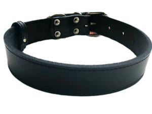 Ошейник для собак Весна кожаный черный 1,2/20-25 см