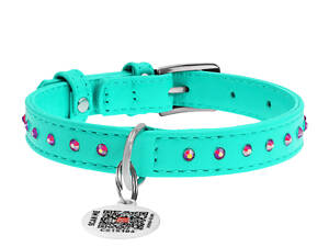 Ошейник для собак WAUDOG Glamour с QR паспортом 30-39 см Разноцветный (Collar327813)