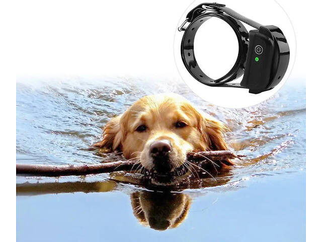 Ошейник длясобак No2310/2 - Фото 10