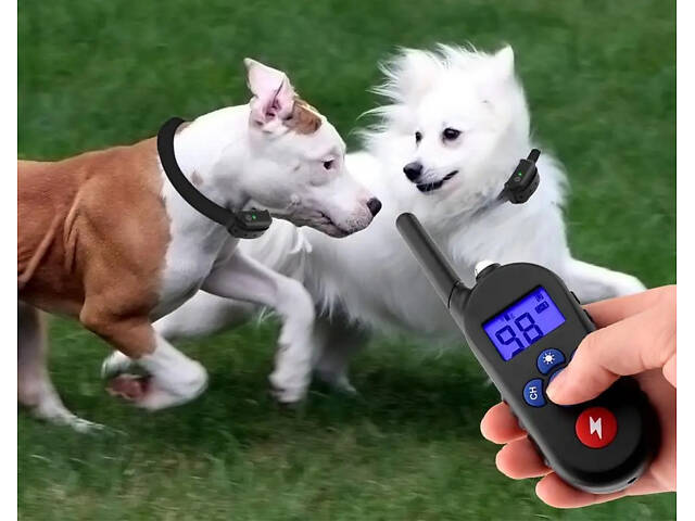 Ошейник длясобак No2310/2 - Фото 6