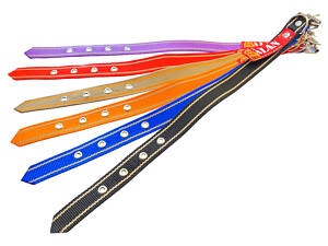 Нашийник капроновий Alan 25 x 450мм одинарний (А-ОКО25450)