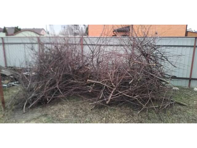 Віддам дрова садових дерев - Фото 2