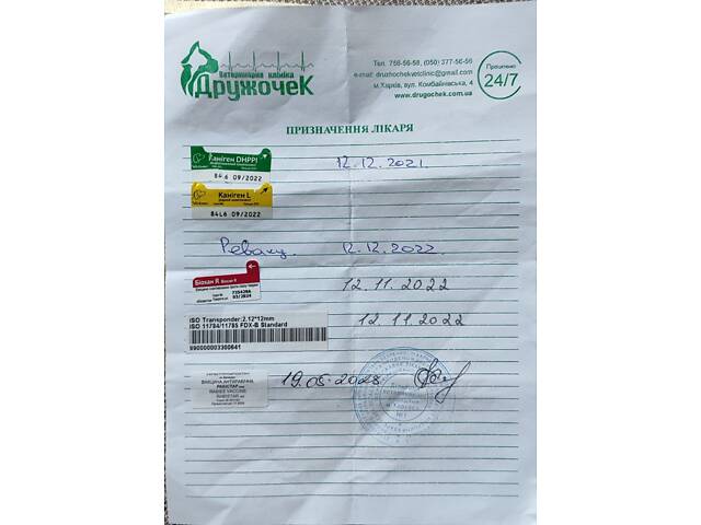 Отдам собаку бесплатно - Фото 3