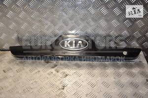 Панель подсветки номера -08 Kia Sportage 2004-2010 925011F000 221