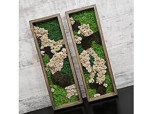 пані з моху від виробника