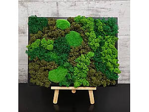 панно з моху за новітніми технологіями