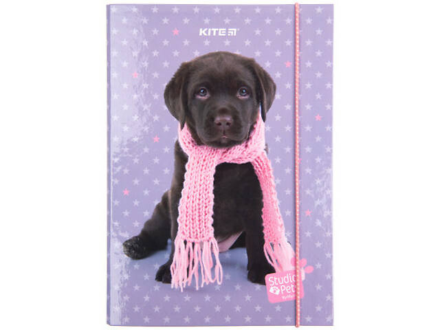 Папка для зошитів Kite В5 на гумці Studio Pets, картон (SP23-210) - Фото 2