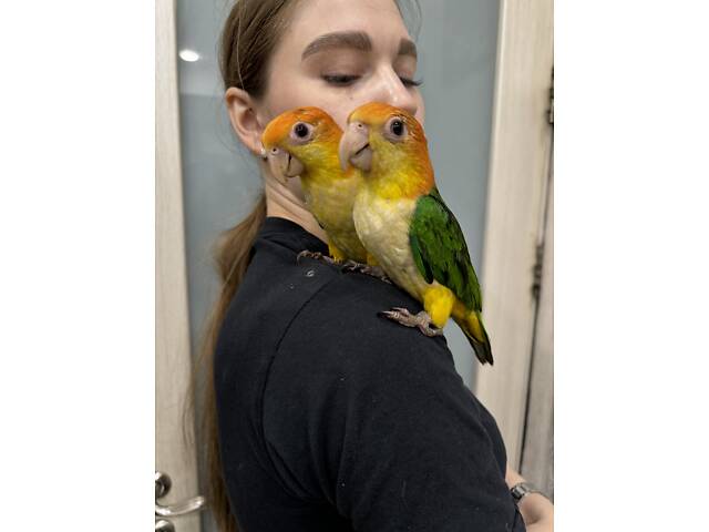 Мария Щербинина жалаңаш Порно ағайынды видео