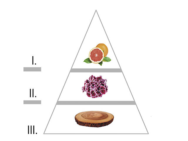 Парфюм для мужчин LAROME 31M Terroso 100 мл - Фото 2