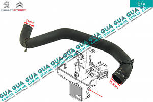 Патрубок / шланг системы охлаждения ( трубка от радиатора к расширительному бачку ) 1351AF Citroen / СИТРОЭН XSARA PICAS