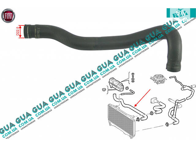 Патрубок/шланг системи охолодження ( трубка від радіатора до розширювального бачка ) 7760966 Fiat/ФІАТ PUNTO 1999-/ПУ