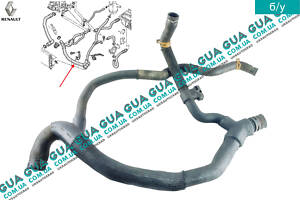 Патрубок/шланг системи охолодження ( трубка радіатора нижня/павук ) 7700834895 Renault/РЕНО KANGOO 1997-2007/КАНГ