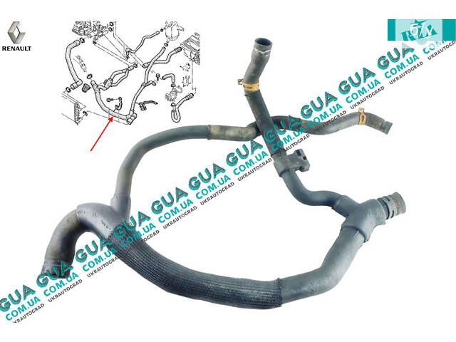 Патрубок / шланг системы охлаждения ( трубка радиатора нижняя / паук ) 7700834895 Renault / РЕНО KANGOO 1997-2007 / КАНГ