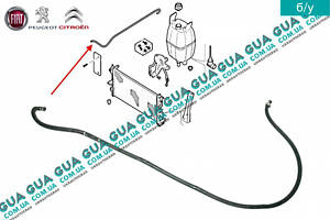 Патрубок / шланг системы охлаждения ( трубка расширительного бачка ) 1349254080 Citroen / СИТРОЭН JUMPER III 2006- / ДЖ
