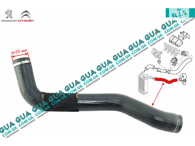 Патрубок ( трубка ) шланг интеркулера от турбины к радиатору 0382FC Citroen / СИТРОЭН JUMPER II 2002-2006 / ДЖАМПЕР 2,
