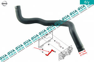 Патрубок/трубка системи охолодження ( шланг радіатора/нижній ) 21503BM500 Nissan/НІССАН ALMERA N16/АЛЬМЕРА Н16