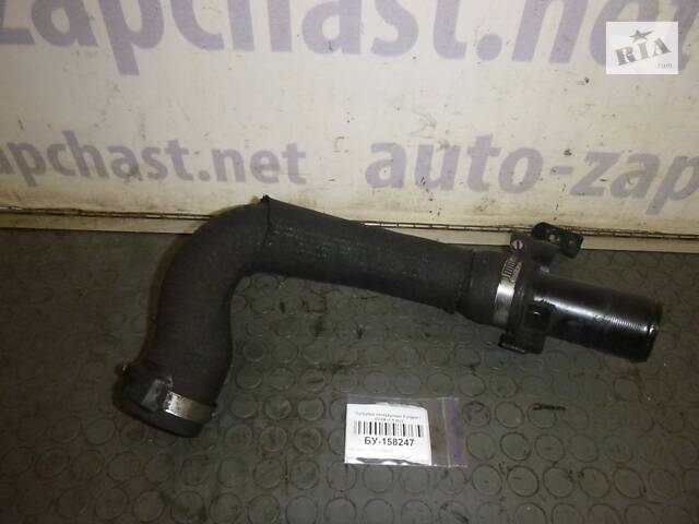 Патрубок интеркулера (1,5 DCI) Renault KANGOO 1 2003-2008 (Рено Кенго), СУ-158247