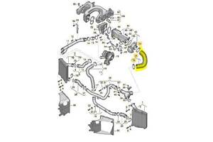 Патрубок інтеркулера Audi Q7 (2010-2015) 4L0145972A