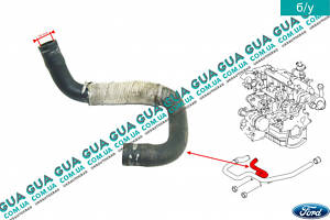 Патрубок масляного радіатора/трубка системи охолодження ( шланг теплообмінника ) 1131947 Ford/ФОРД CONNECT 2002-2013