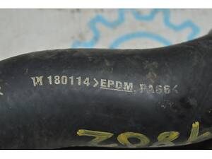 Патрубок охлаждения верхний Honda Accord 18- 1.5T (02) 19501-6A1-H00