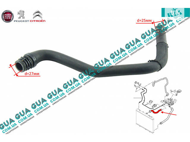 Патрубок радіатора/шланг системи охолодження (від радіатора до термостату) 800415615 Citroen/СІТРОЕН JUMPY III 2007-