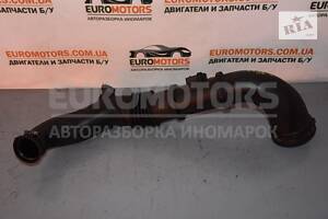 Патрубок воздушного фильтра Peugeot Boxer 2.2Mjet 2006-2014 13499