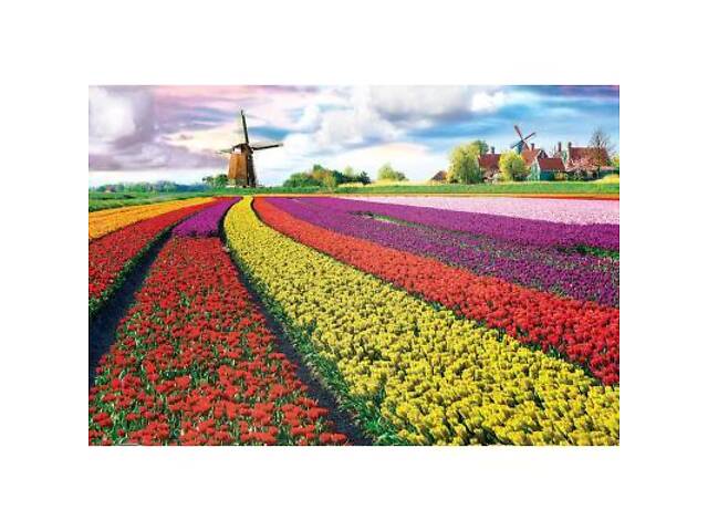 Пазл Eurographics Поле тюльпанів у Нідерландах 1000 елементів (6000-5326) - Фото 2