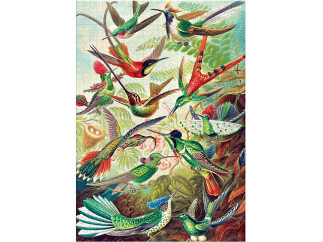 Пазл GoodLoot Imagination: Ernst Haeckel Hummingbirds/Kolibry 1000 елементів (5908305246794) - Фото 9