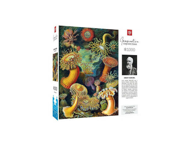Пазл GoodLoot Imagination: Ernst Haeckel: Sea Anemones 1000 эл. (5908305244943) - Фото 1
