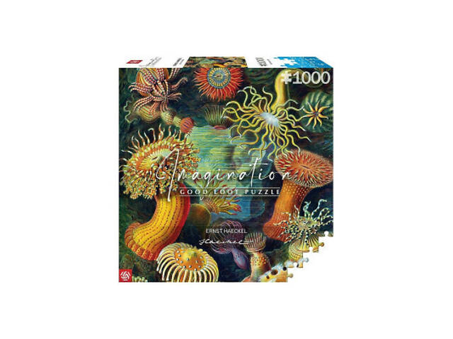 Пазл GoodLoot Imagination: Ernst Haeckel: Sea Anemones 1000 эл. (5908305244943) - Фото 2