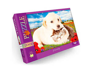 Пазл класичний Danko Toys C2000-01-01-10 2000 ел (Friendship)