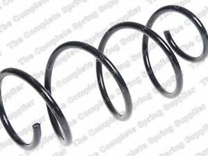Передня пружина підвіски LESJOFORS 4072990 на RENAULT EURO CLIO III (BR0/1, CR0/1)