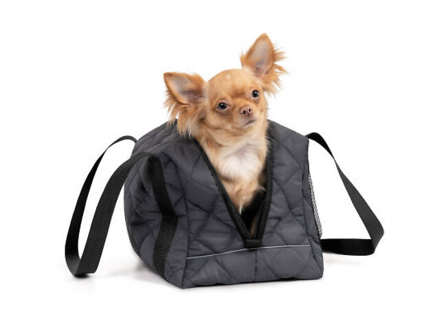 Переноска для тварин Природа FABI (4823082432745) - Фото 5