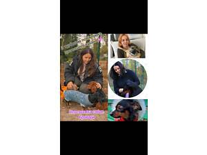 Перетримка собак