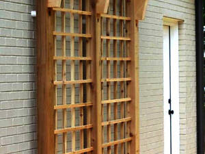 Пергола-шпалера 'Багдад' мускат