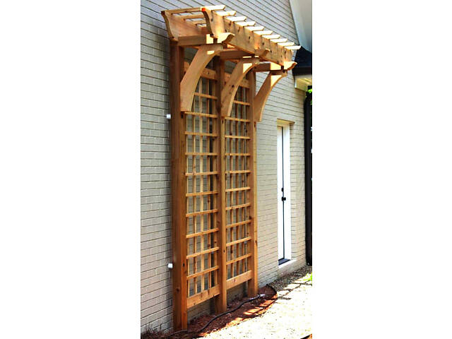 Пергола-шпалера 'Багдад' мускат - Фото 1