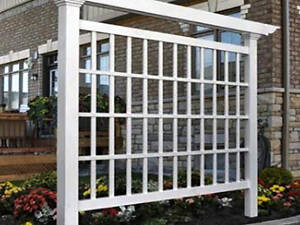 Пергола-шпалера 'Кербелі' зефір