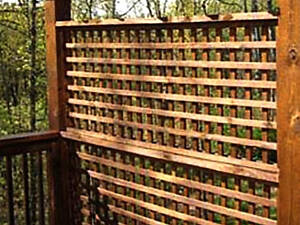 Пергола-шпалера 'Талафар' мускат