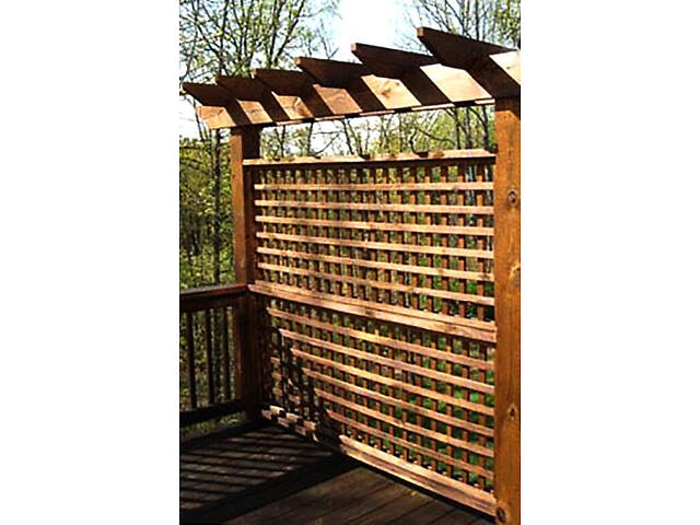 Пергола-шпалера 'Талафар' мускат - Фото 1