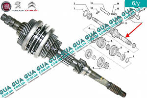 Первичный вал КПП 9640142588 Citroen / СИТРОЭН JUMPY 1995-2004 / ДЖАМПИ 1, Citroen / СИТРОЭН JUMPY II 2004-2006 / ДЖАМПИ