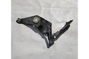 Петля капота левая 41007198617 BMW X5 E70 07-13, X6 E71 08-14