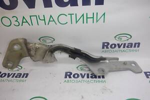 Петля капота права Renault CLIO 3 2005-2012 (Рено Клио 3), БУ-245917