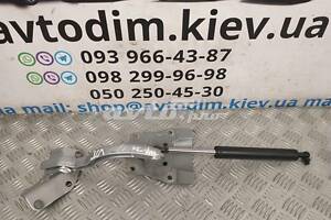 Петля крышки багажника левая 68260SED003ZZ Honda Accord 7 2002-2008