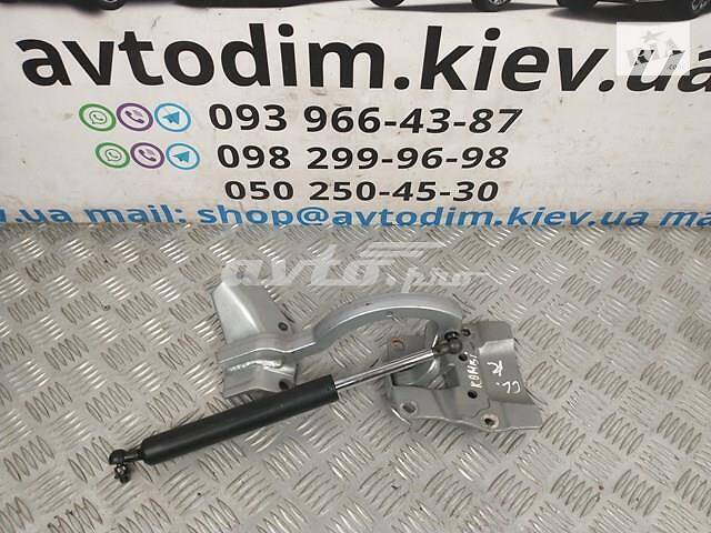 Петля крышки багажника правая 68210SED003ZZ Honda Accord 7 2002-2008