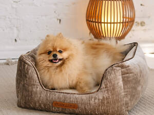 PHOEBE – лежак с характером и теплом S беж